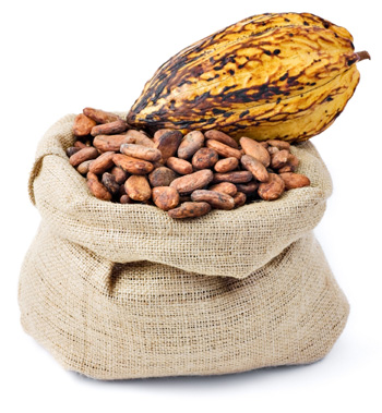 Cocoa-Flavanols